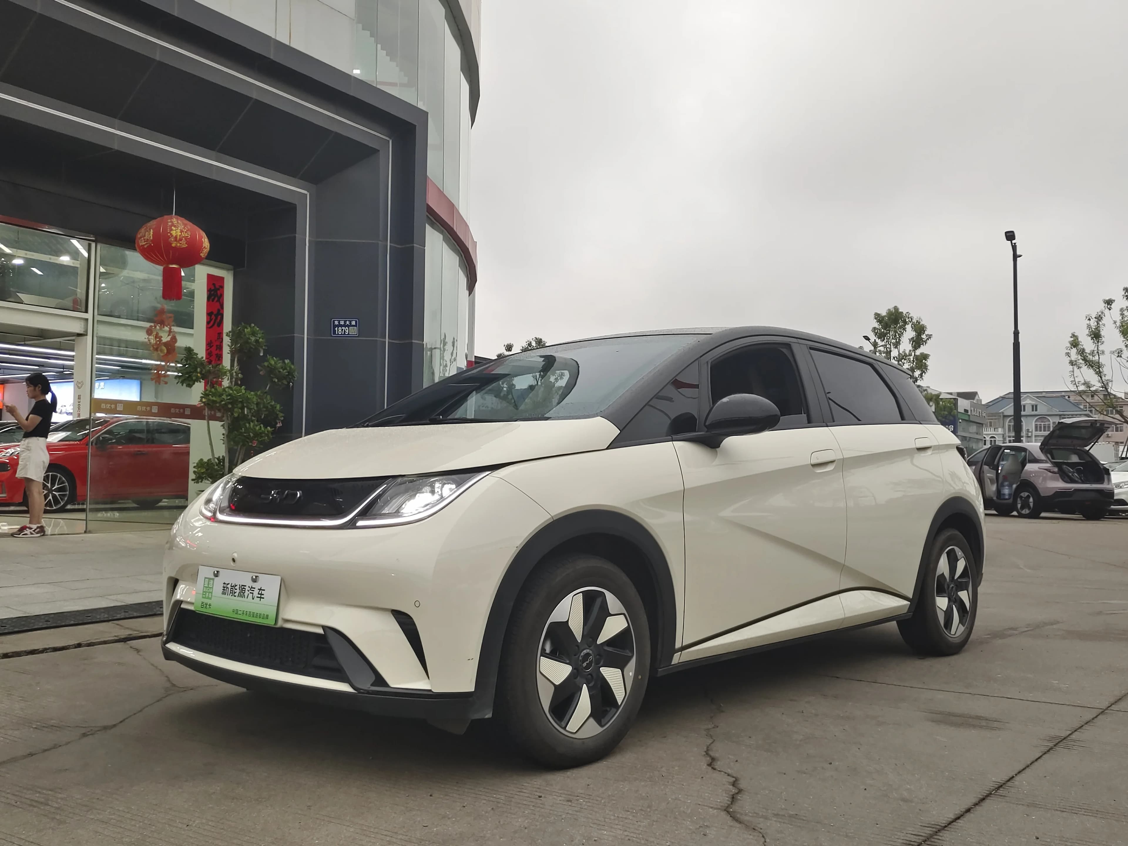 BYD Dolphin 2024 Honor 420km Fashion
