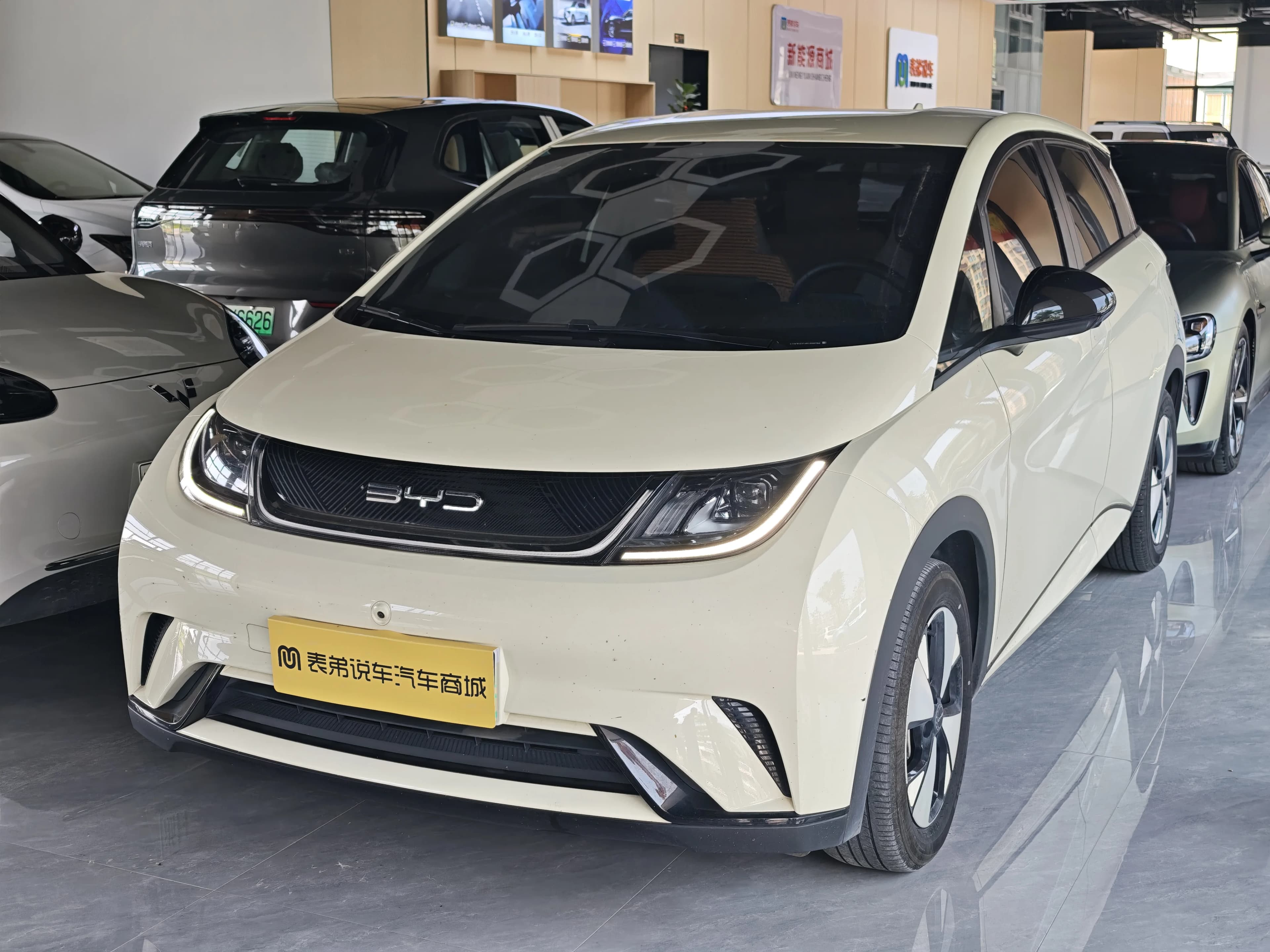 BYD Dolphin 2023 420km Fashion