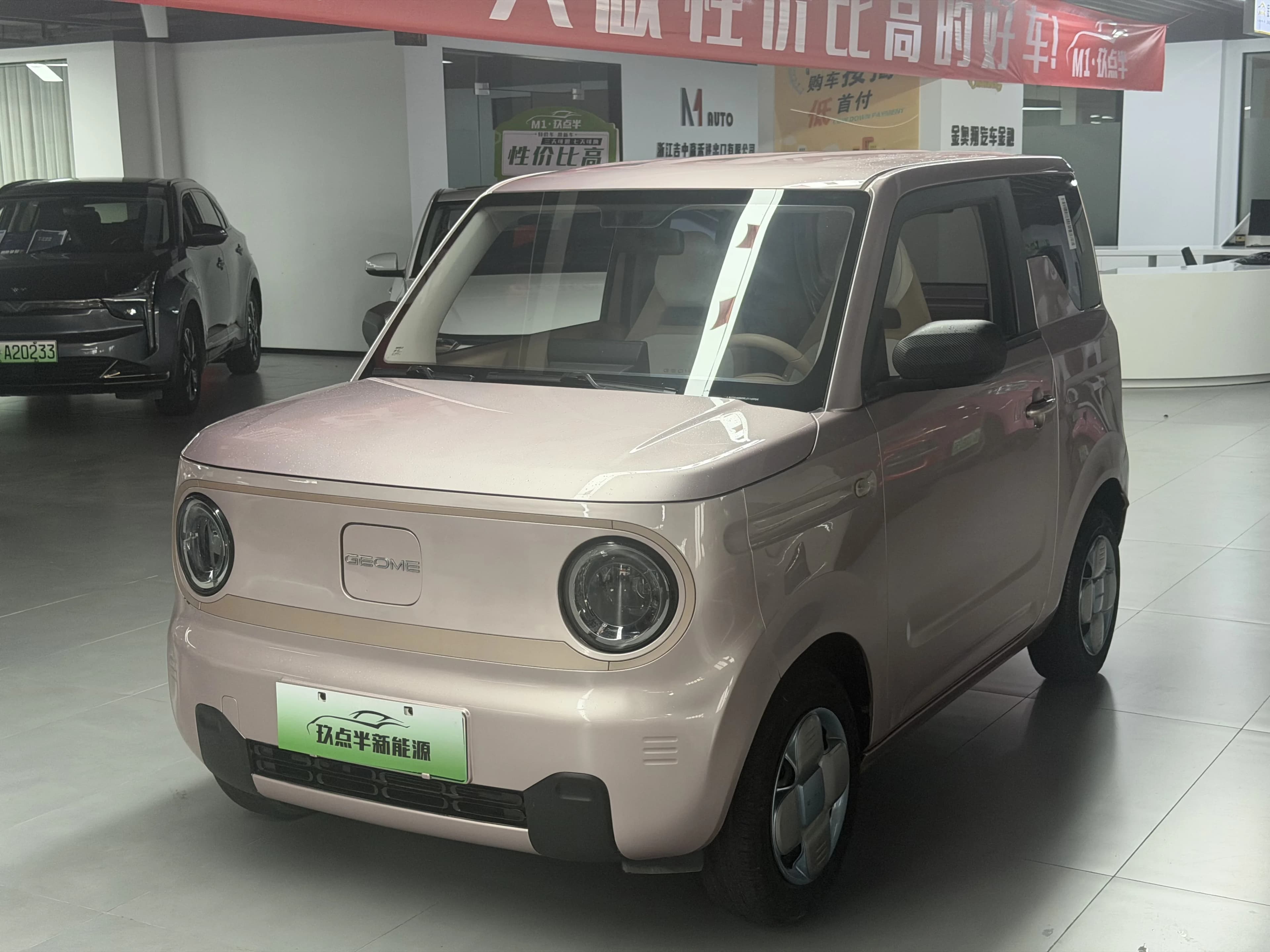 Geely Panda 2024 mini 200km Endurance Bear