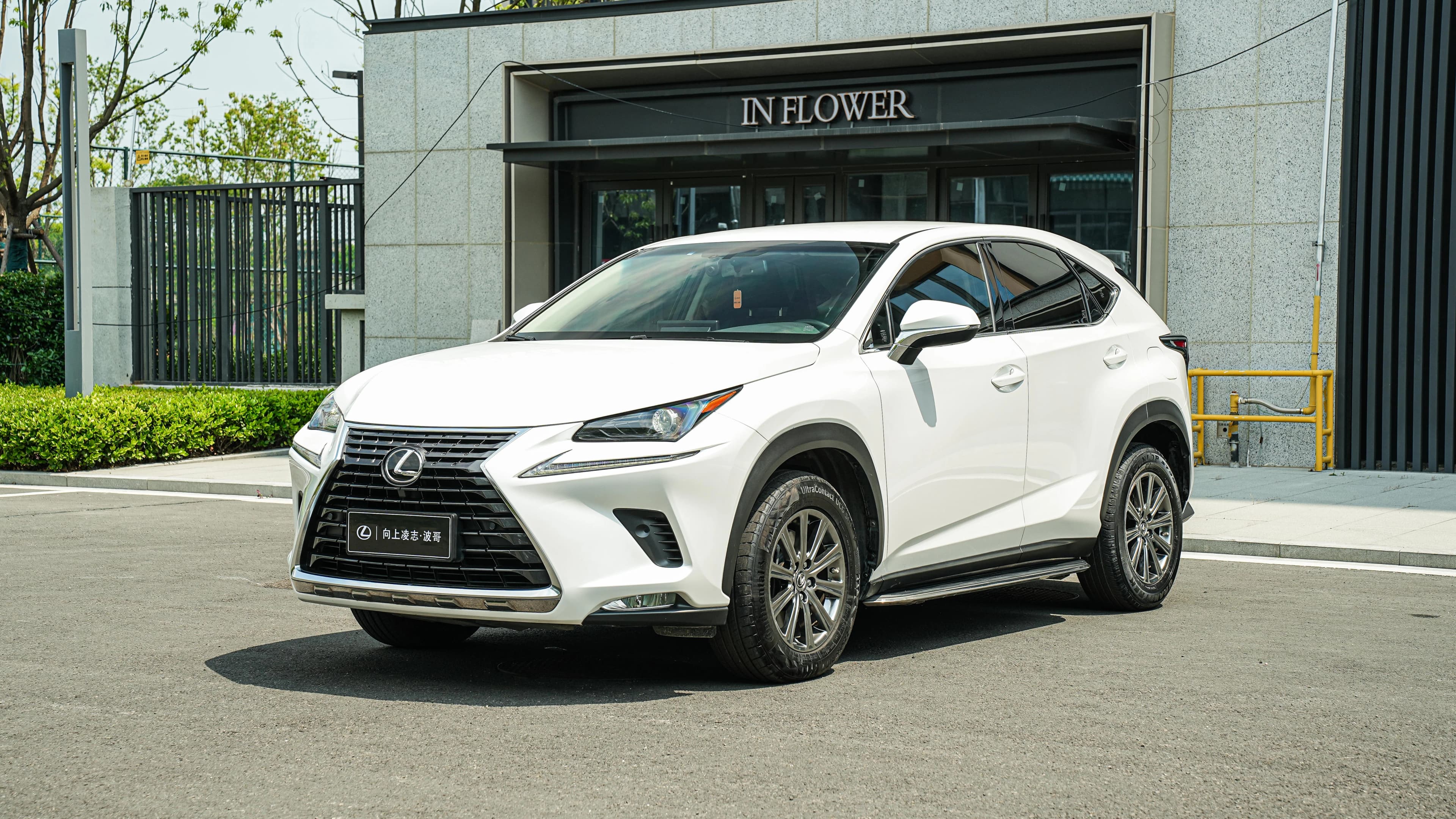 Lexus NX 2018 300 FWD Frontier