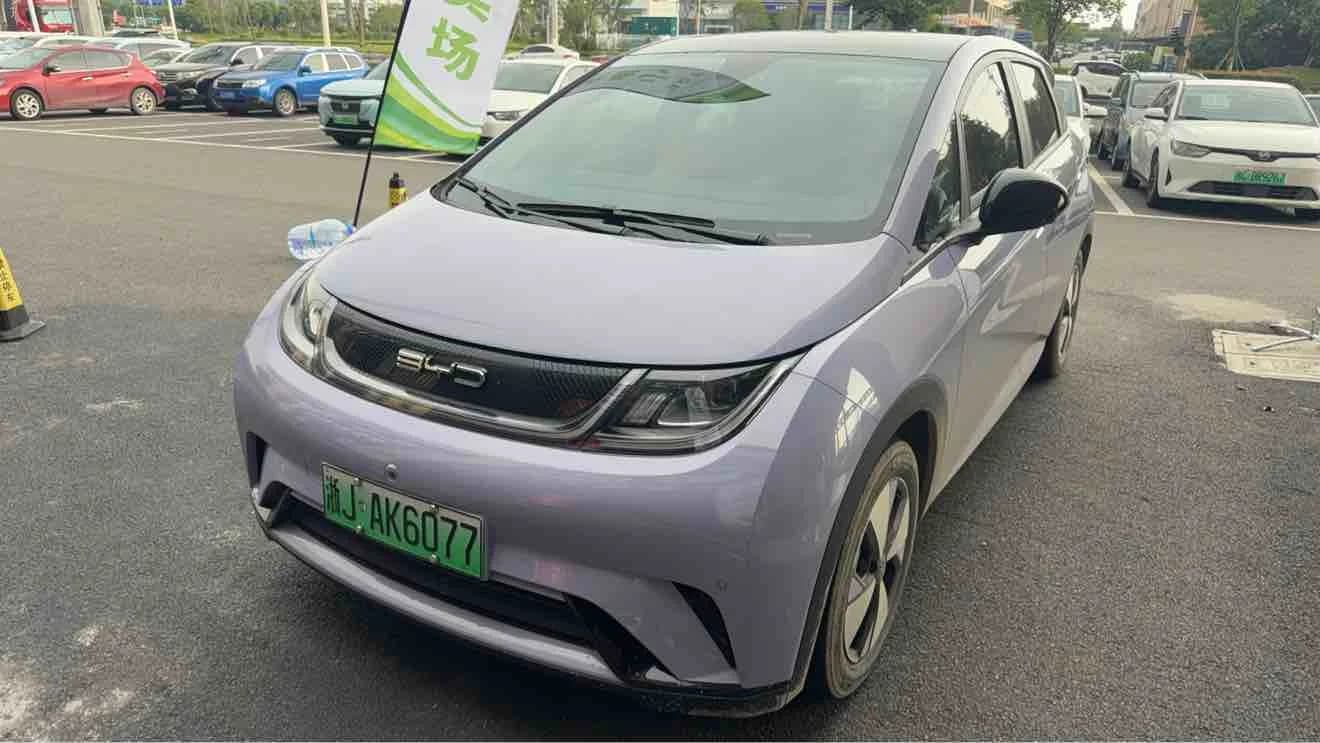 BYD Dolphin 2023 420km Fashion