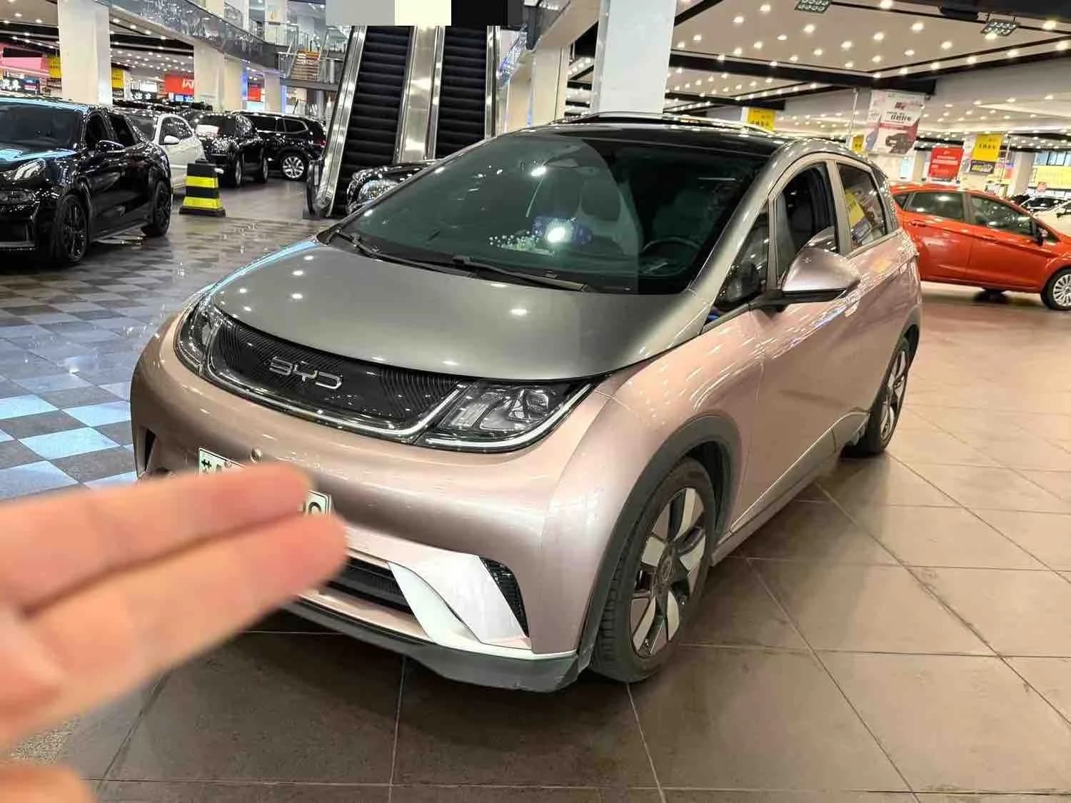 BYD Dolphin 2021 401km Knight