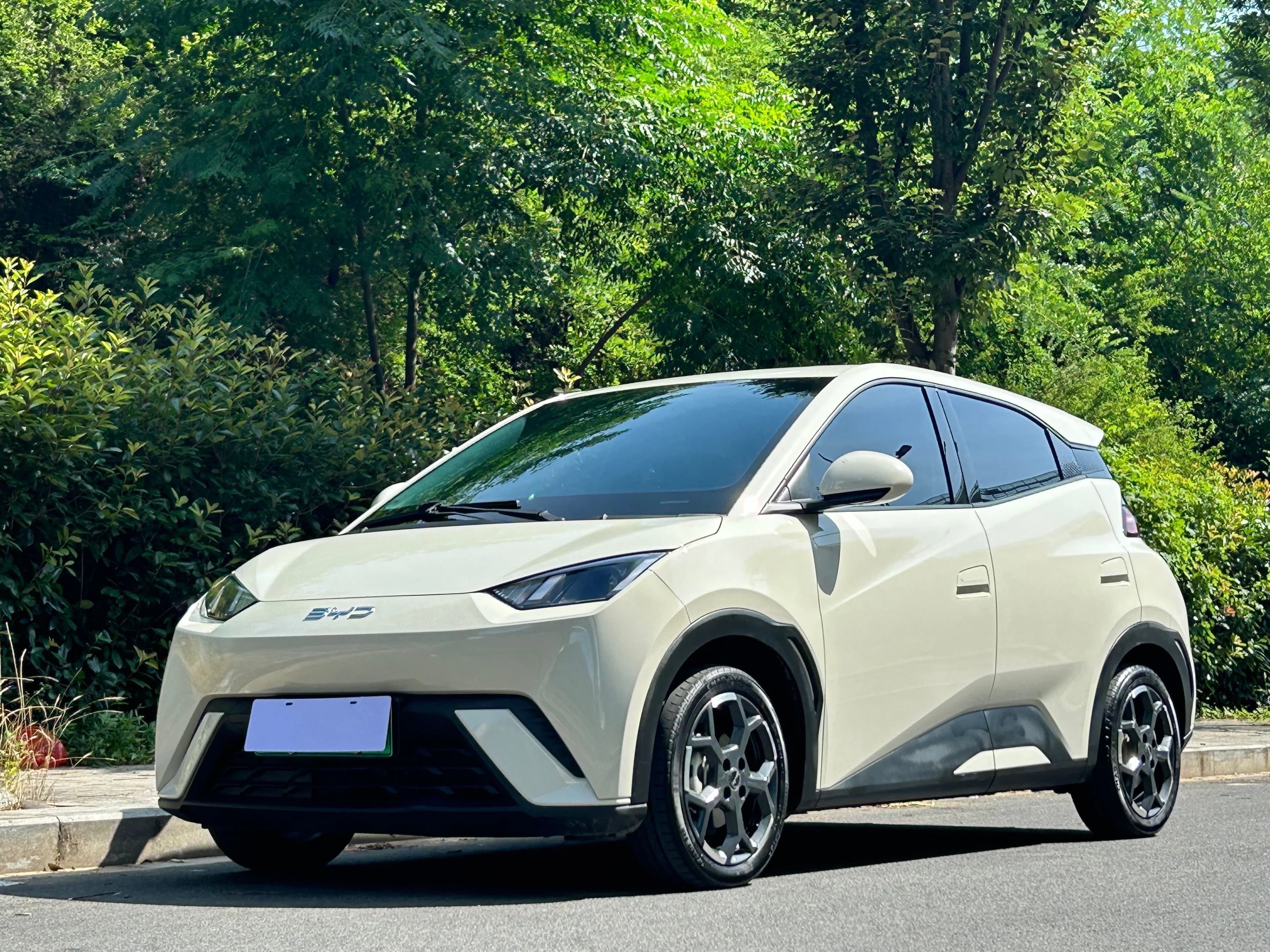 BYD Seagull 2024 Honor 405km Flying