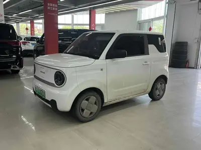 Geely Panda 2023 mini 200km Endurance Bear