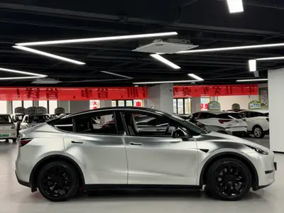 特斯拉 Model Y 2023款 后轮驱动版