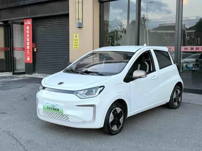 SOL 花仙子 2023 301km 36kW Starry Sky