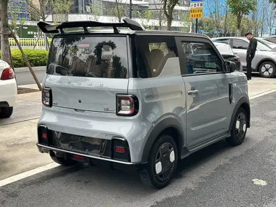 Geely Panda 2024 200km Kadin