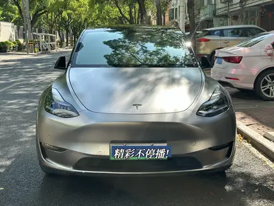 特斯拉 Model Y 2021款 标准续航后驱版