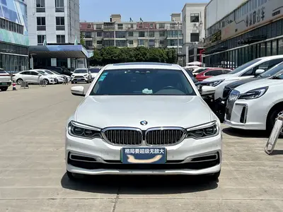 BMW 5系新能源 2019 530Le Luxury Pack