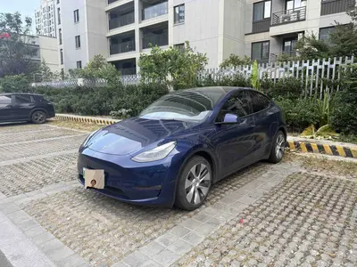 Tesla Model Y 2021 Std Range RWD