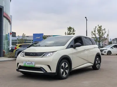 BYD Dolphin 2024 Honor 420km Free