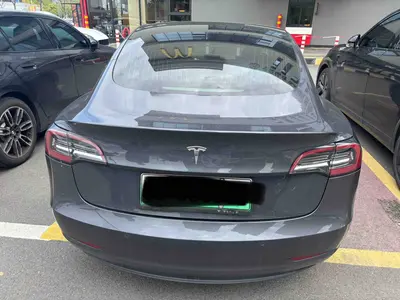 特斯拉 Model 3 2020款 标准续航后驱升级版