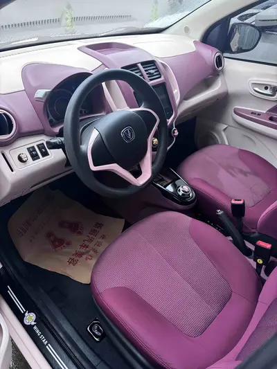 Changan Benben E-Star 2021 LFP31.86kWh National Joy