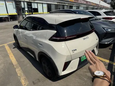 BYD Seagull 2025 Smart Drive 305km Vitality