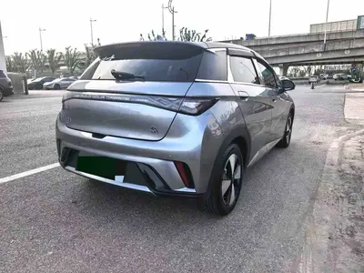 BYD Dolphin 2023 420km Fashion