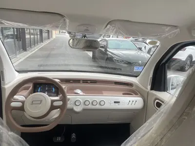 奔腾 小马 2026款 222km 炫彩马