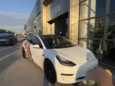 Tesla Model 3(进口) 2019 Model 3 Long RangeAll-wheel drive