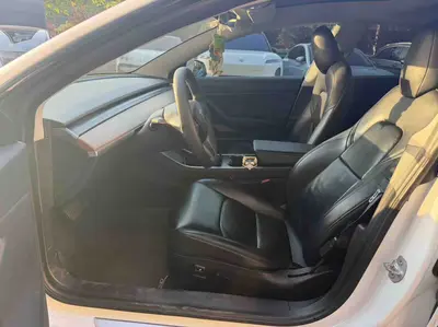Tesla Model 3(进口) 2019 Model 3 Long RangeAll-wheel drive