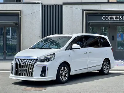 Buick GL8 2021 Business Class 652T Premium