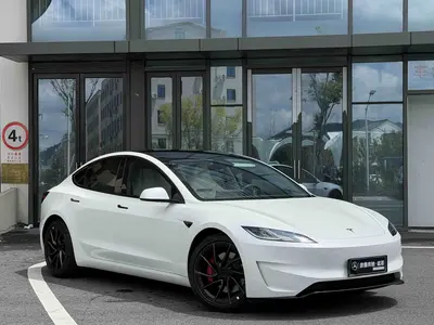 Tesla Model 3 2025 High-performance all-wheel drive