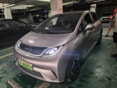 BYD Dolphin 2021 405km Fashion