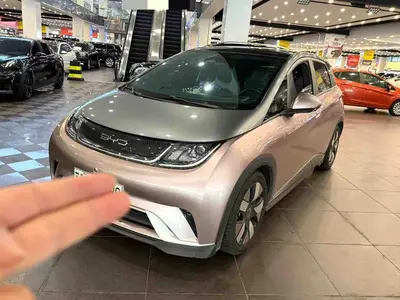 BYD Dolphin 2021 401km Knight