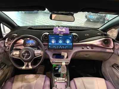 BYD Dolphin 2021 401km Knight